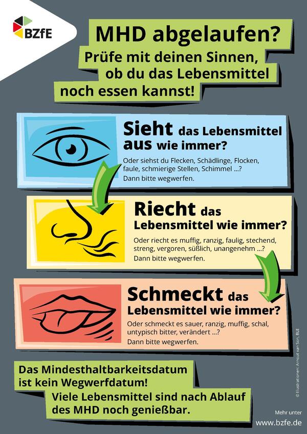 Bild vergrößern: Infografik MHD